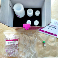 普通琼脂糖凝胶DNA回收试剂盒 DP209 -03