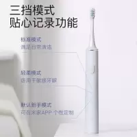 小米(MI) 米家声波电动牙刷T500C情侣无线充电智能提醒三档模式内附牙刷头套装IOT联动 米家声波电动牙刷