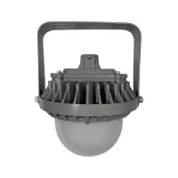 LHDQ 领航电器LHF2109C LED平台灯 50W IP65 220V 冷光