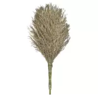 DP 竹刷把 竹刷把竹锅刷竹刷子竹丝炊帚筅帚刷锅 粗刷/细刷