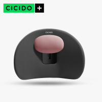 CJ0204-腰靠-黑粉[可调节式-单个装]精准护腰