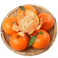 [鲜贝达] 青见果冻橙9斤[80-85mm]橙子 VC