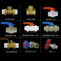 PPR双活接铜球阀热熔钢芯球阀自来水纯铜止回阀管件阀门水管开关,25(6分)ppr白色钢芯球阀,一个