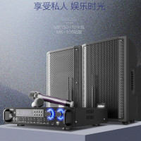 爱浪(Avlight) 爱浪MK150-10家庭KTV音响一体机带话筒唱歌机