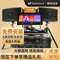 山水(SANSUI)SP2-10 ktv音响组合套装效果器KTV家用套装点歌机(3T点歌机套餐)