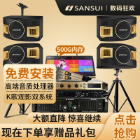 山水(SANSUI)SP2-11卡包音响家庭影院KTV卡拉OK套装音箱家用K歌套装会议(500G点歌机套餐)