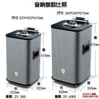 爱浪(Avlight)DX50-12广场舞户外直播三分频便携拉杆移动大功率