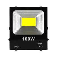 户外投光灯100W(自带25cm线)led投光灯射灯