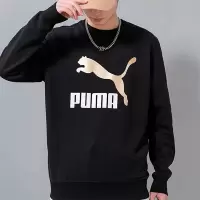 彪马(PUMA)yysports Puma彪马男装卫衣舒适训练跑步休闲运动套头衫 535278-01