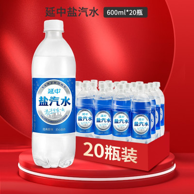 延中盐汽水 600ml*20瓶/箱