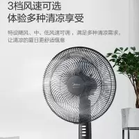 美的(Midea)FSA40YD 五叶大风定时轻音家用落地扇(单位:台)