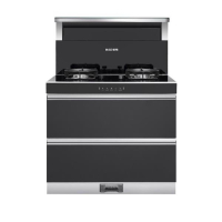 樱雪集成灶 JJZT/Y-90X2203(B)