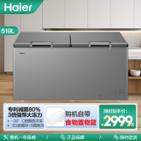 海尔(Haier)519升 家用 商用 卧式冰柜 冷柜 冷冻柜 减霜80% BC/BD-519GHPT