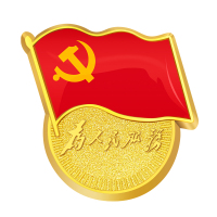 飞雨 党徽 标准型 别针 10枚 1件