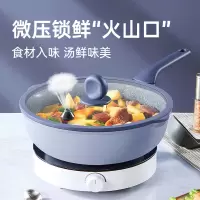 炊大皇锁鲜微压炒锅汤锅