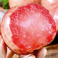 [西沛生鲜]智利进口血丝李 3斤 珠宝李子当季新鲜红布林整箱血丝李水果樱桃李孕妇