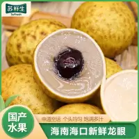 [苏鲜生]申通空运 海南龙眼 水果当季 净重3斤装 新鲜桂圆 精选水果 熊猫鸟