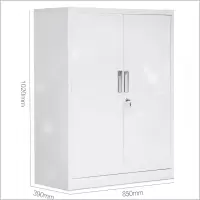 工霸 文件柜 850*390*1050mm 0.8厚 冷轧钢 1个(货期7天左右)