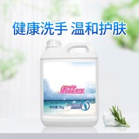 大桶洗手液5kg/桶抗菌洗手液补充装60桶装(此套装共计:60桶限上海区域)