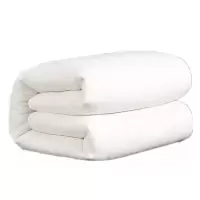 苏宁宜品 推荐定制棉花被1.9*0.9m