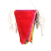 先锋彩旗串 24m/包 单包装