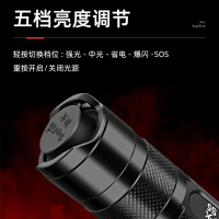 西法 神火S5强光手电筒超亮小型可充电 S5-3瓦黑色+1节1400毫安电池+挂绳+充电器