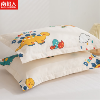 南极人(Nanjiren) 儿童枕头套装纯棉枕芯低枕纤维枕枕头芯单人一对 热带恐龙40x60cm