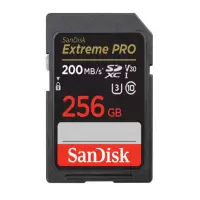 SD存储卡 256GB 货期5-10天