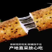 甘福园 山药 5斤 1件