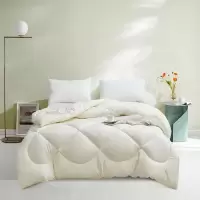红豆家纺 红豆珍品兔绒被 200*230cm HDB-2221