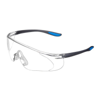 国产定制 护目镜/副
