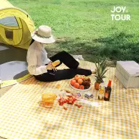 一次性野餐垫