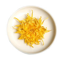 菊名天下金丝皇菊