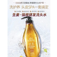 滋源生姜强根健发系列1.0 生姜强根健发洗头水535ml+护发素535ml(油性)