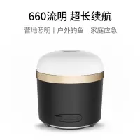 工霸 led灯户外应急照明灯 黑色7200毫安 1个