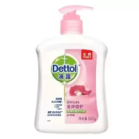 滴露(Dettol)滴露健康抑菌洗手液滋润倍护500克