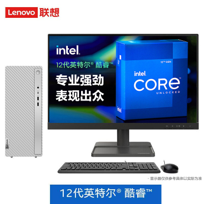 联想(Lenovo)天逸510Pro (i5-12400/16G/1T+256G/独显/23英寸) 定制 商务办公学习个人家用企业采购台式机