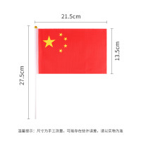 TaTanice 手持8号五星红旗小旗杆