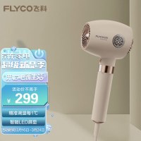 飞科 FLYCO 电吹风机 家用宿舍用小型负离子恒温护发大风量快速干发吹风筒礼物送女友FH6369