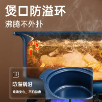 炊大皇 国韵 双鱼煲4.5L TC45SY