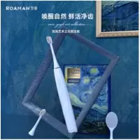罗曼(ROAMAN) 电动牙刷成人情侣声波电动牙刷男士女士D30 E20