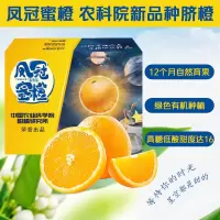 冠町 重庆凤冠蜜橙脐橙子 新鲜水果生鲜