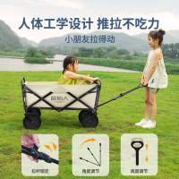 AET01推车-宽轮顶刹卡其