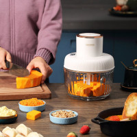 大宇DAEWOO 绞肉机DYJR-301S