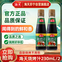 海天烧烤汁230mL*2 调味酱 烧烤汁 烧烤调味汁腌料