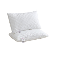 洁丽雅星级酒店对枕 JLYZX009