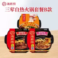 海底捞(Hi)三荤素自热火锅套餐B款懒人方便速食食品网红自助自热小火锅套餐