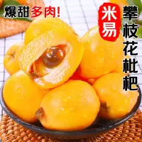 冠町 米易枇杷 1斤装特大果(单果40-60g)新鲜水果生鲜