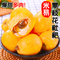 冠町 米易枇杷 3斤装特大果(单果40-60g)新鲜水果生鲜