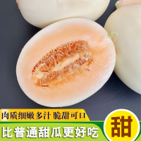 [西沛生鲜]陕西阎良甜瓜 2.8-3斤装 2-3枚 箱装 蜜瓜香瓜 当季甜瓜新鲜水果